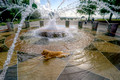 Dog Fountain_6767_DxO_68_DxO_69_DxO_70_DxO_71_DxO