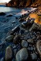 Otter Cliffs_6556_DxO