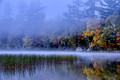Lake Eaton Fog_4074