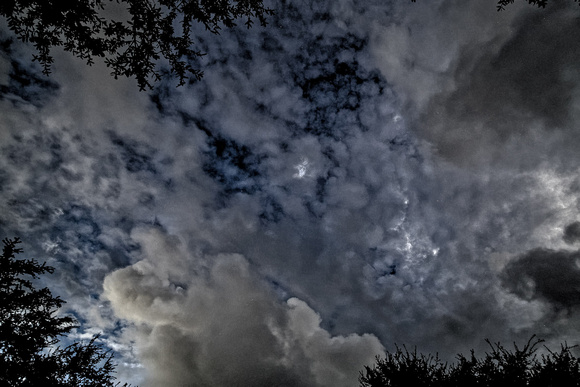 Totality Wide 485_DxO