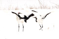 Cranes Dance Snow_8930
