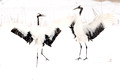 Cranes Dance Snow_8928