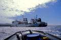 Falklands Stanley Ships1 2_8