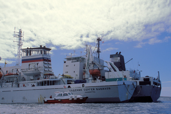 Falklands Stanley Ships2 2_8